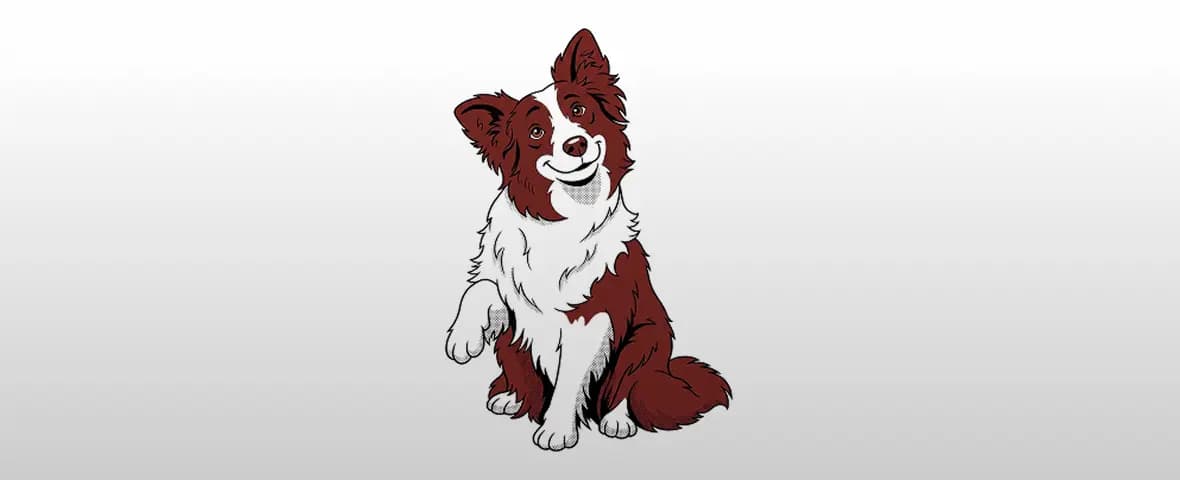 Asuransi Anjing