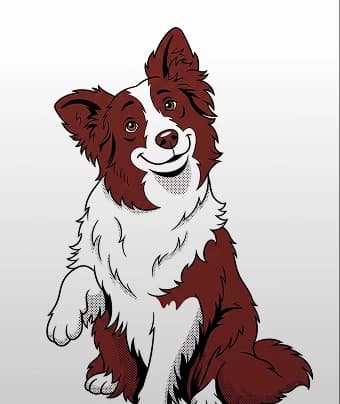 Asuransi Anjing