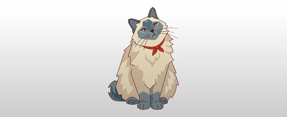 Asuransi Kucing