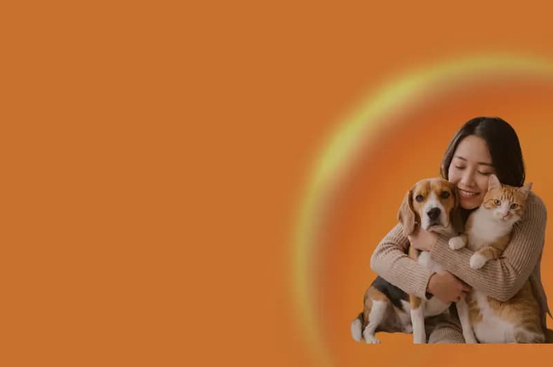 Pawsure Hero